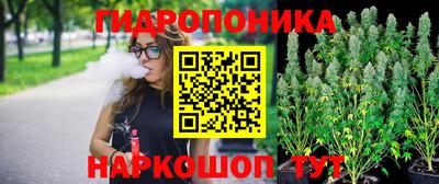 шишки Ипатово