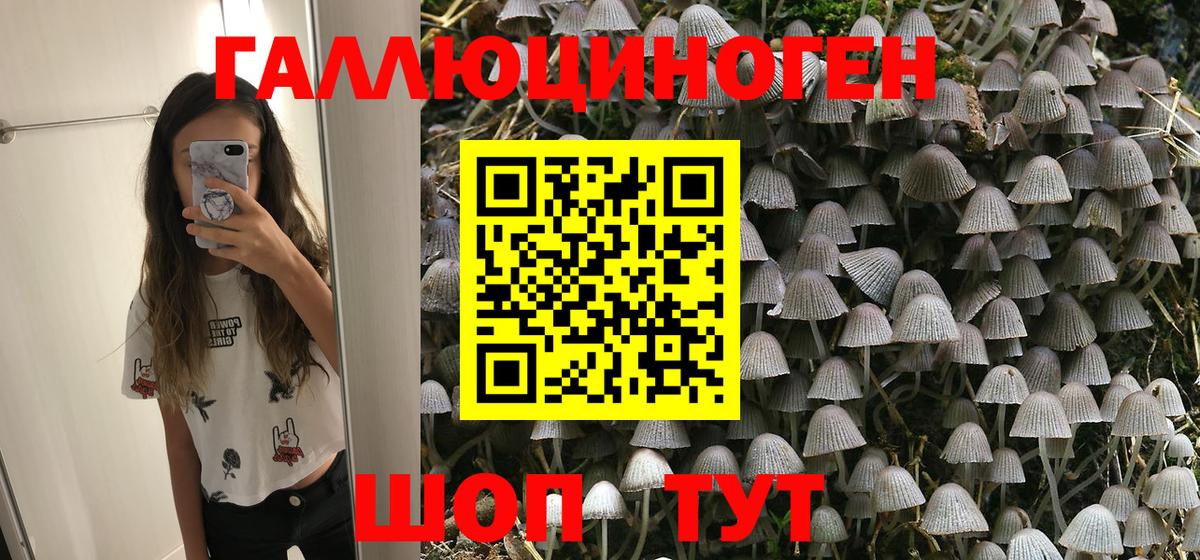 Галлюциногенные грибы MAGIC MUSHROOMS  Галлюциногенные грибы Psilocybine cubensis  Вход с VPN  Джанкой 